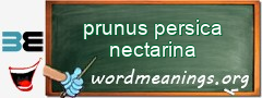 WordMeaning blackboard for prunus persica nectarina